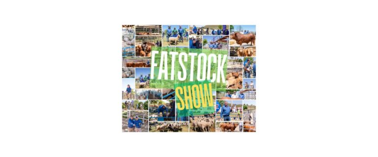 🐮🐑🏆🌾FATSTOCK SHOW 🐂🐏